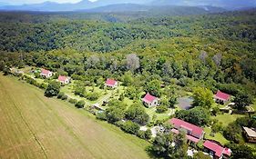 Forest Edge Retreat